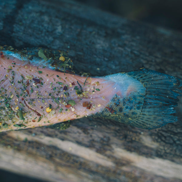 Seafood and River Fish Seasoning